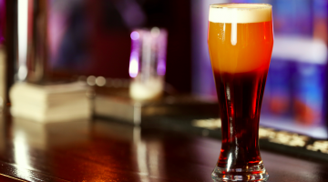 The Definitive Guide To Developing A Trivia Dream Team