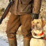 I Want To Start Hunting But Have No Idea Where To Begin