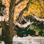 Screen Shot 2016-08-25 at 3.15.10 PM