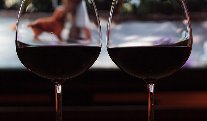 Things Girls Do After Graduation: Winesday