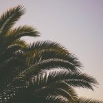 Spring Break Up, Part 1