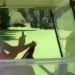 Let’s Talk About Running People Over With Golf Carts