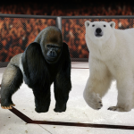 shutterstock_135599462_720